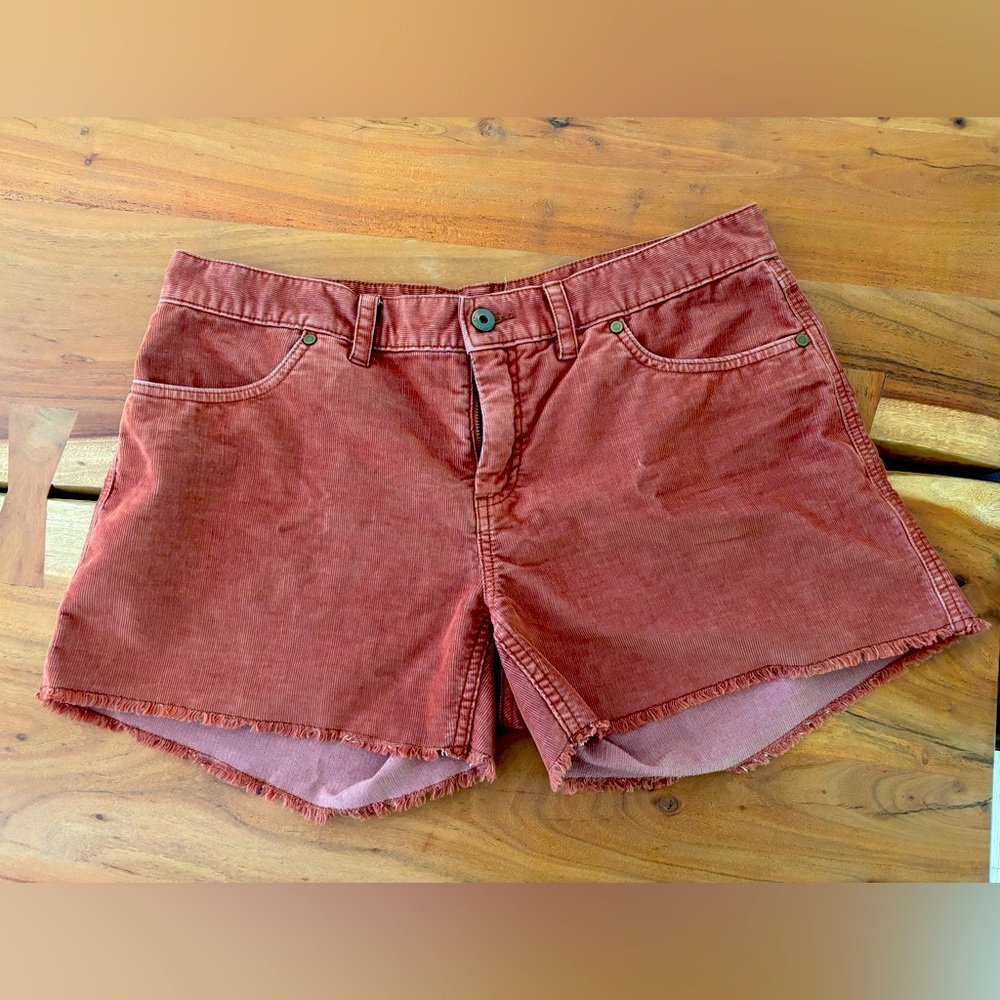 Carve Designs Shorts - Rust